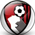 Trực tiếp bóng đá Bournemouth - Newcastle: Chủ nhà tiếp đà thăng hoa (Ngoại hạng Anh) - 1