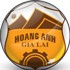 Trực tiếp bóng đá HAGL - SLNA: Chủ nhà vùng vẫy thoát cuối bảng (V-League) - 1