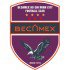 Trực tiếp bóng đá SLNA - Becamex TP.HCM: Thoát khỏi vùng nguy hiểm (V-League) - 1