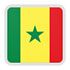 Trực tiếp bóng đá Brazil - Senegal: Ông lớn sợ sệt - 1