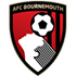 Trực tiếp bóng đá Newcastle - Bournemouth: Đua vé dự Cúp châu Âu (Ngoại hạng Anh) - 1