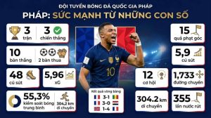 Khi xG lên tới 5,96, ĐT Pháp sẽ ghi bao nhiêu bàn vào lưới Thụy Điển?