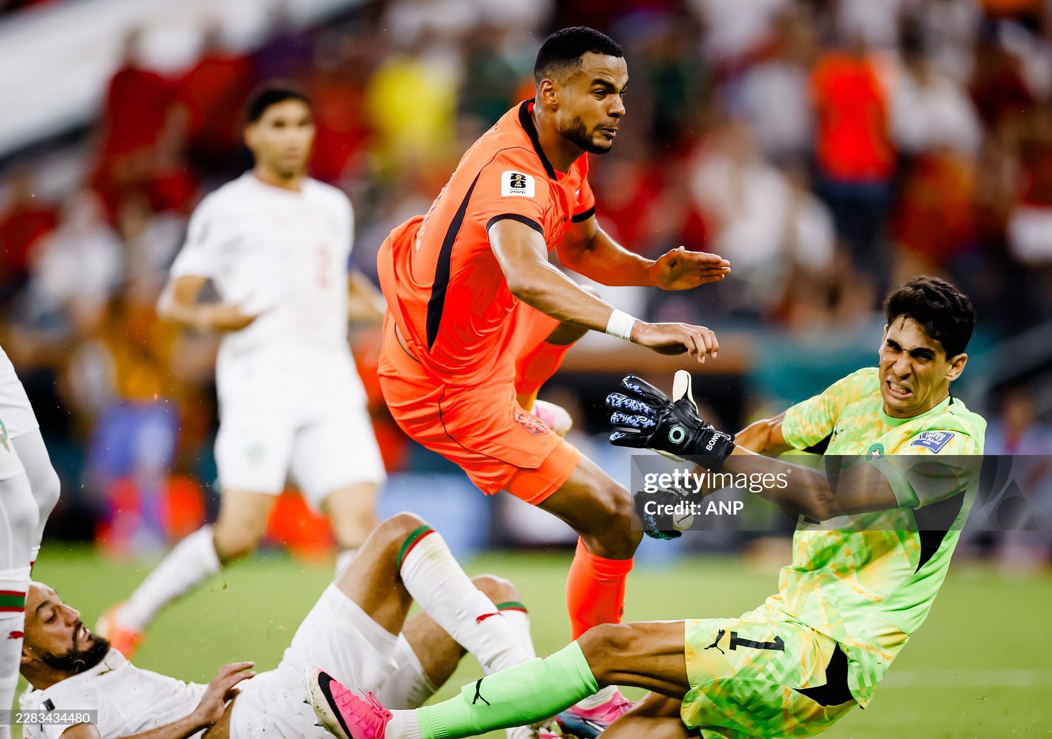 Gakpo ghi bàn vào lưới ĐT Morocco