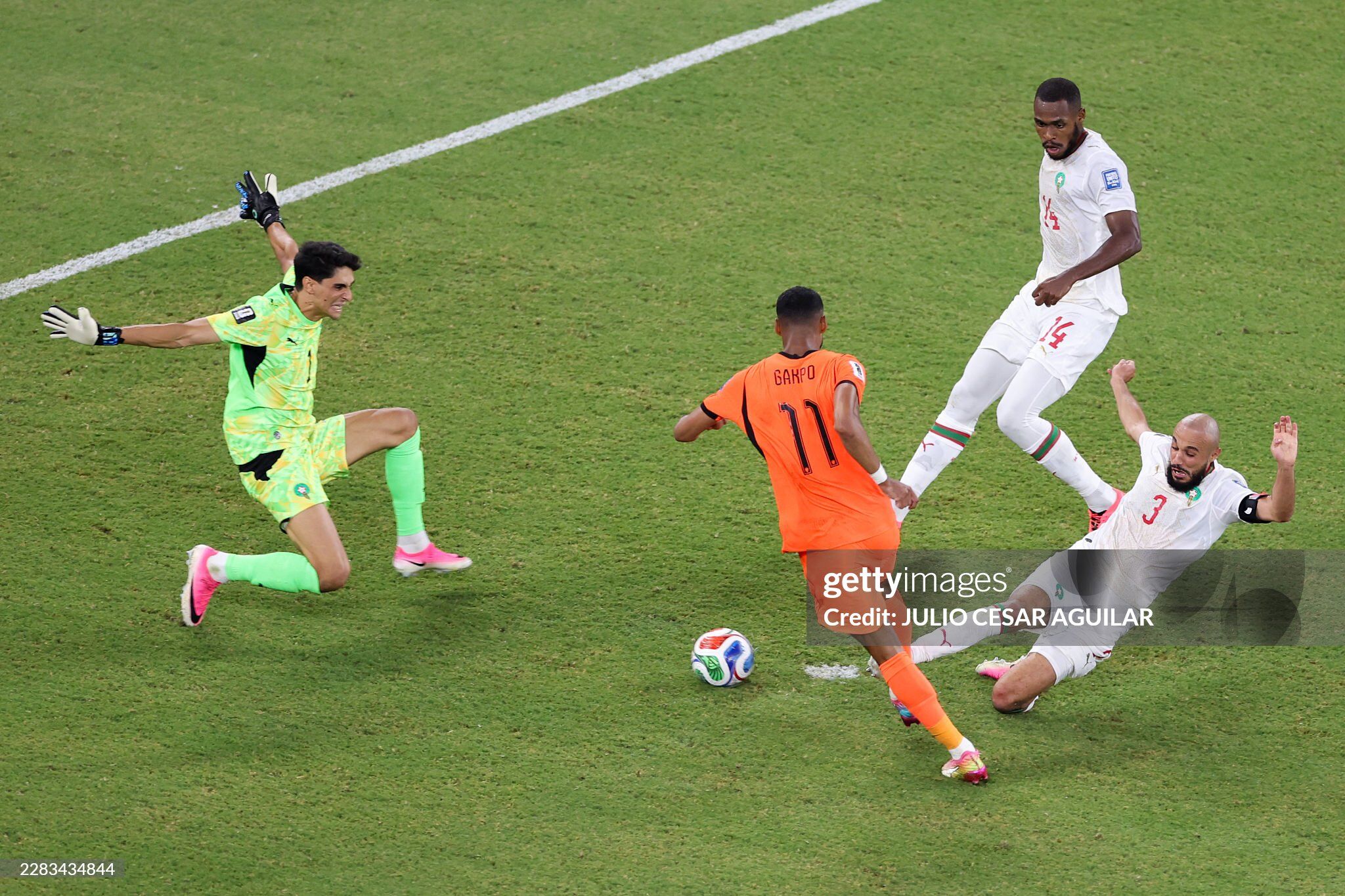 Hà Lan đấu Morocco: Sao Liverpool vỡ òa cảm xúc sau bàn thắng đặc biệt - 1
