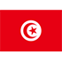 Trực tiếp bóng đá Tunisia – Hà Lan: “Cơn lốc da cam” thị uy (World Cup)